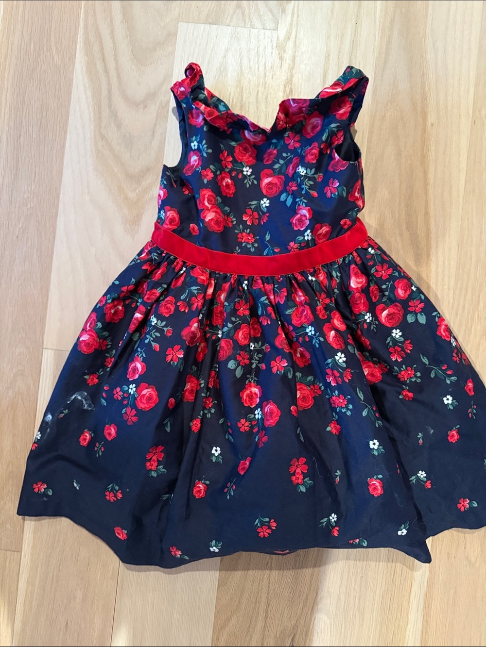 Janie and Jack Navy Dress with Red Rose Floral Print